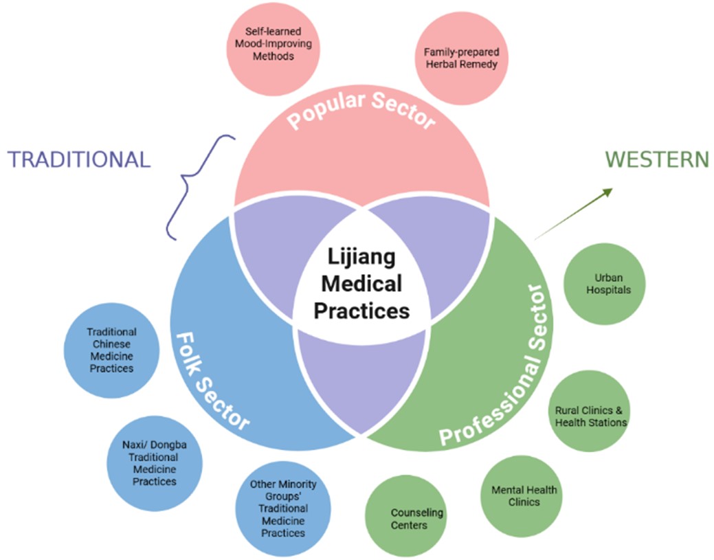 Visualized diagram showing plural medical practices in Lijiang, classified in popular, folk, and professional sectors, and divided into traditional and western medicine. Created in https://BioRender.com
