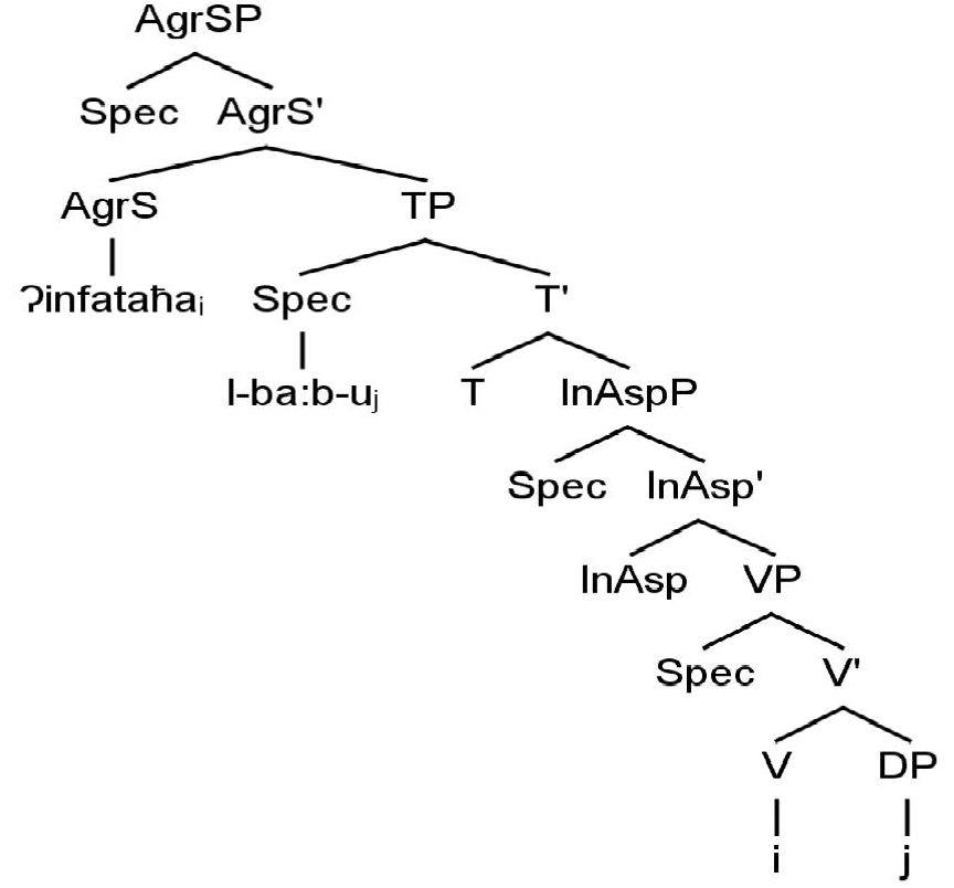 in the Specifier position of Tense Phrase