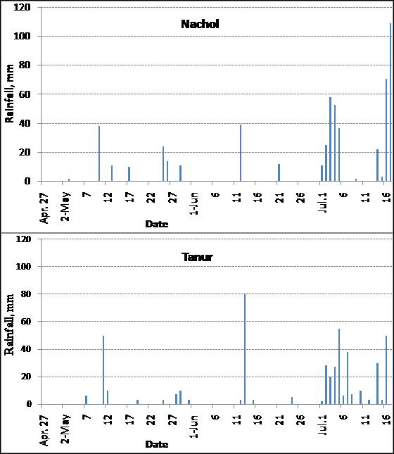 Rainfall distribution during crop period