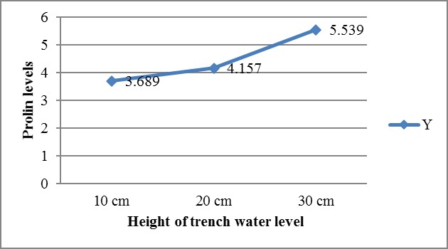 Effect of height trench water level on proline levels