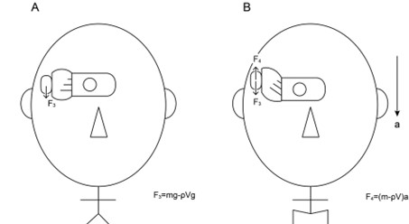 Squat down. Inertial force deforms the otolithic membrane of the saccule, bending the cilia of the hair cell upward.