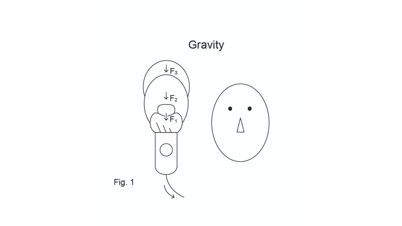 Within the utricle, the otolithic membrane is always deformed and the hair cell is always stimulated due to gravity. Although action potentials are always induced, no one shows nystagmus. F1 = Weight of otoconium, F2 = Weight of endolymph, F3 = Weight of perilymph.