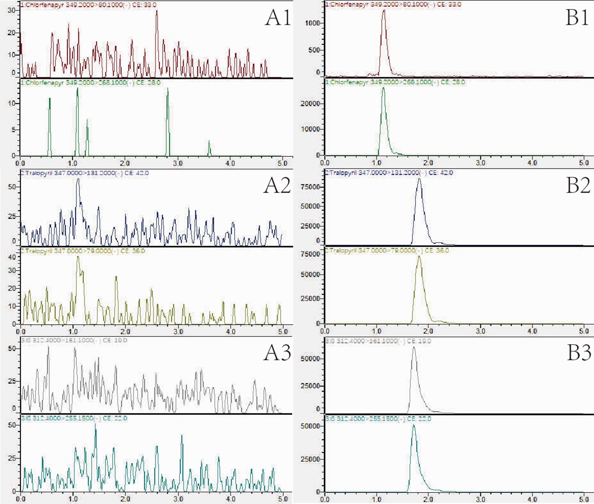 MRM chromatograms of blank (A1-3) and blood samples supplemented with chlorfenapyr (B1), tralopyril (B2), and warfarin-D5 (B3)