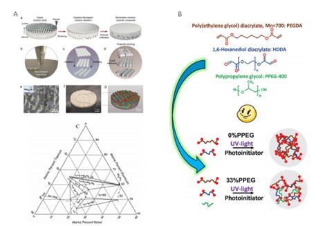 (A)Preparation process and structural characterization of biomimetic ceramic-polymer composites. (B) Schematic representation of polymer network formation by monomer polymerization during ultraviolet (UV) light curing at different monomer contents. (C) Phase diagram analysis of the Ni-Al-Ti ternary alloy system, describing the phase compositions of the nickel (Ni), aluminum (Al), and titanium (Ti) ternary alloy system at different compositional ratios