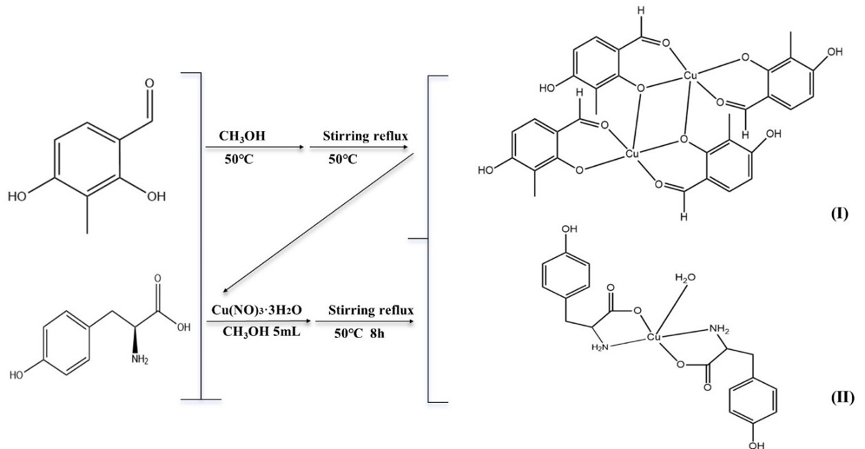 Synthesis route of (I) and (II)