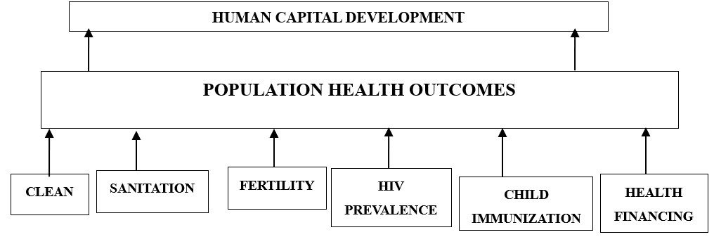 Framework for Health Outcomes in SSA Region